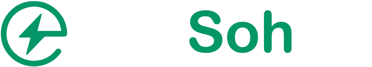 TestSoh.ro - logo